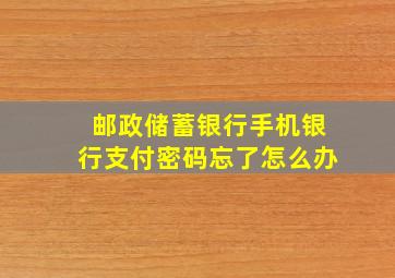 邮政储蓄银行手机银行支付密码忘了怎么办