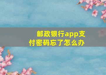 邮政银行app支付密码忘了怎么办