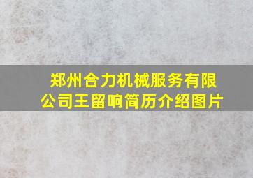 郑州合力机械服务有限公司王留响简历介绍图片