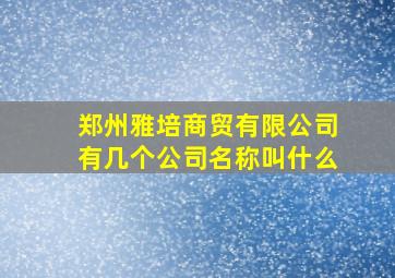 郑州雅培商贸有限公司有几个公司名称叫什么