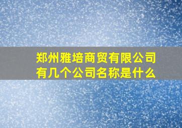 郑州雅培商贸有限公司有几个公司名称是什么