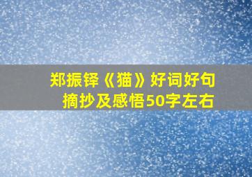 郑振铎《猫》好词好句摘抄及感悟50字左右