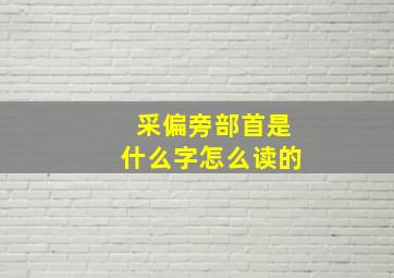 采偏旁部首是什么字怎么读的