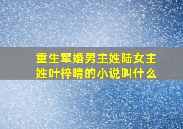 重生军婚男主姓陆女主姓叶梓晴的小说叫什么