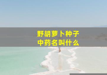 野胡萝卜种子中药名叫什么