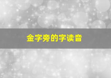 金字旁的字读音