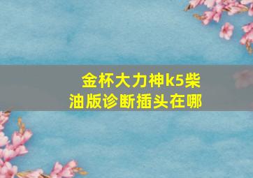 金杯大力神k5柴油版诊断插头在哪