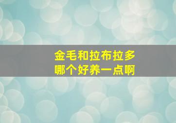 金毛和拉布拉多哪个好养一点啊