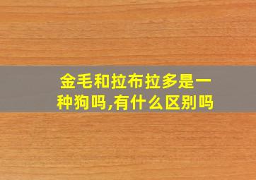 金毛和拉布拉多是一种狗吗,有什么区别吗