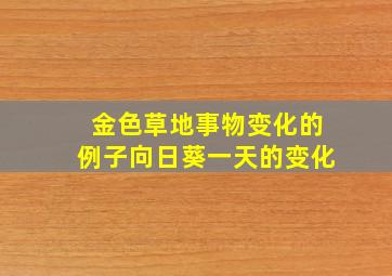 金色草地事物变化的例子向日葵一天的变化