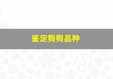 鉴定狗狗品种