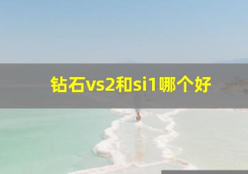 钻石vs2和si1哪个好