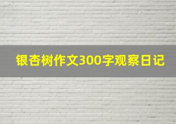 银杏树作文300字观察日记