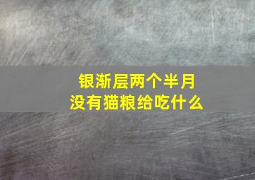 银渐层两个半月没有猫粮给吃什么