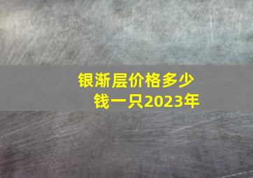 银渐层价格多少钱一只2023年