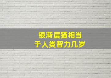 银渐层猫相当于人类智力几岁