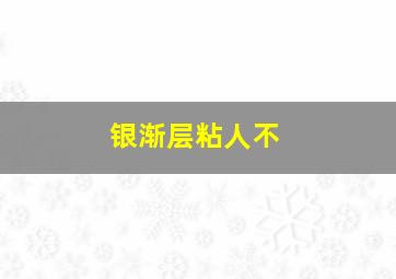 银渐层粘人不