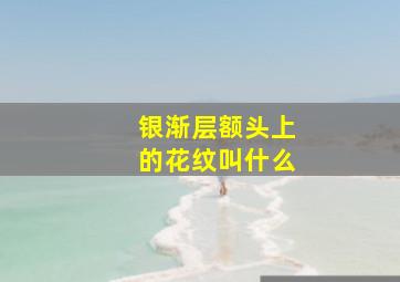 银渐层额头上的花纹叫什么