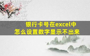 银行卡号在excel中怎么设置数字显示不出来