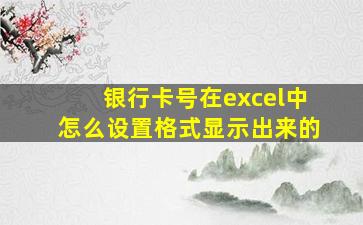 银行卡号在excel中怎么设置格式显示出来的