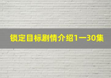 锁定目标剧情介绍1一30集