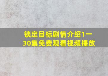 锁定目标剧情介绍1一30集免费观看视频播放