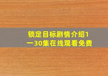 锁定目标剧情介绍1一30集在线观看免费