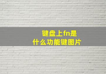 键盘上fn是什么功能键图片