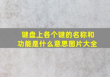 键盘上各个键的名称和功能是什么意思图片大全