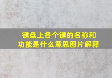 键盘上各个键的名称和功能是什么意思图片解释