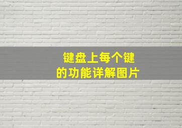 键盘上每个键的功能详解图片