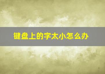 键盘上的字太小怎么办