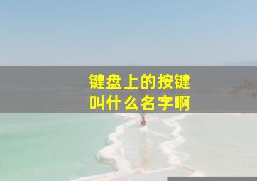 键盘上的按键叫什么名字啊