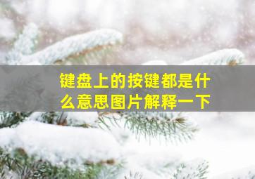 键盘上的按键都是什么意思图片解释一下