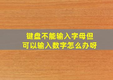 键盘不能输入字母但可以输入数字怎么办呀