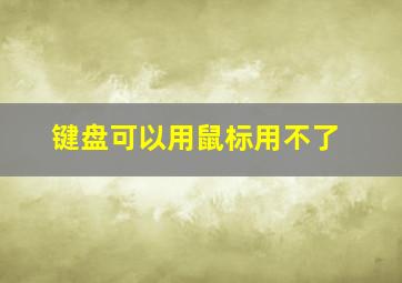 键盘可以用鼠标用不了