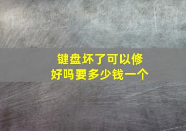 键盘坏了可以修好吗要多少钱一个