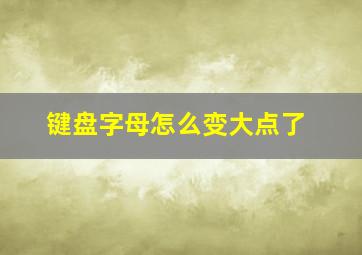 键盘字母怎么变大点了