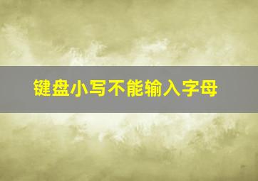 键盘小写不能输入字母