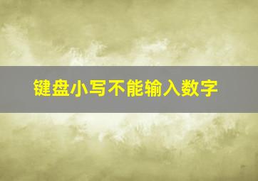 键盘小写不能输入数字