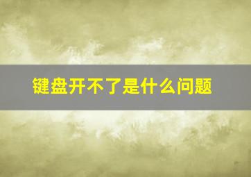 键盘开不了是什么问题