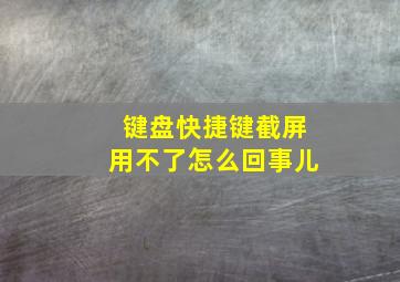 键盘快捷键截屏用不了怎么回事儿