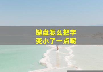 键盘怎么把字变小了一点呢