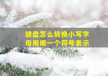 键盘怎么转换小写字母用哪一个符号表示