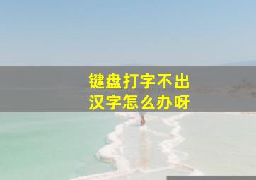 键盘打字不出汉字怎么办呀