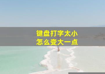 键盘打字太小怎么变大一点