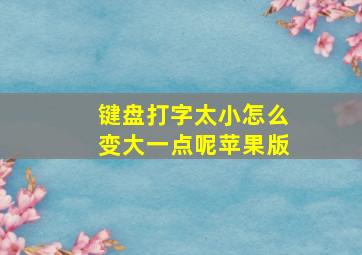 键盘打字太小怎么变大一点呢苹果版