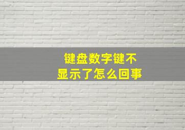 键盘数字键不显示了怎么回事