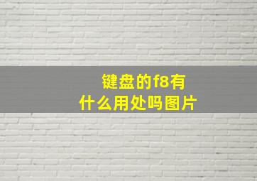 键盘的f8有什么用处吗图片