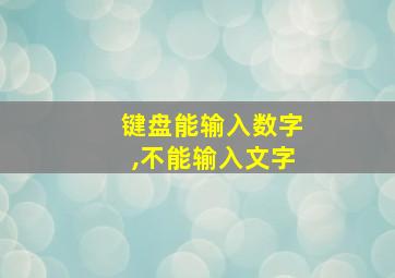 键盘能输入数字,不能输入文字